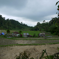 Photo de Bali - Baturiti